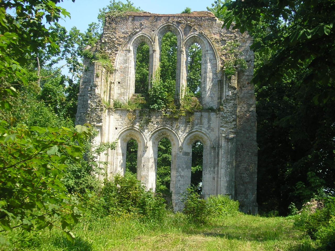 Ruines d'abbaye cistercienne entourées de végétation