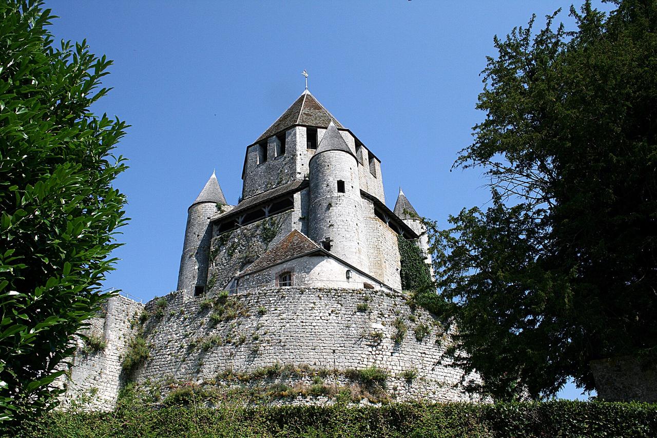 Tour César de Provins, donjon médiéval sur une colline, architecture défensive en pierre.